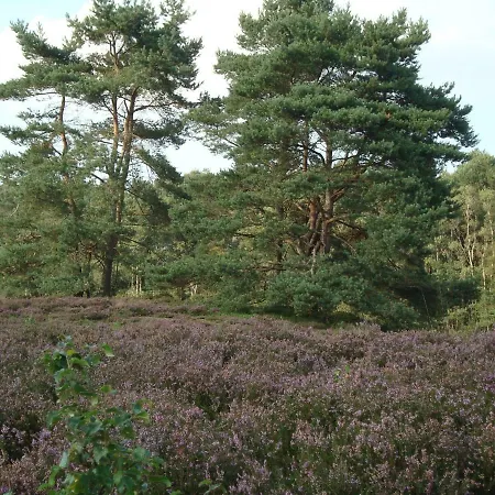 Strandlust Ii Ferienhaus *