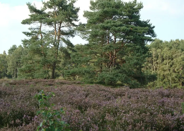 Strandlust Ii Vakantiehuis *